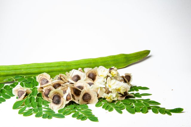 MORINGA POWDER, Drumsticks, - Image 3