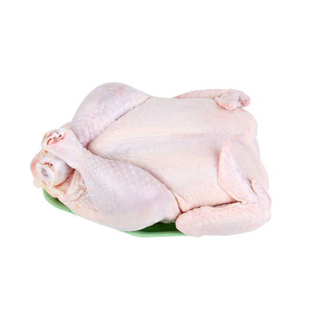 premium frozen chicken cheapest whole raw chicken for sale - Image 4