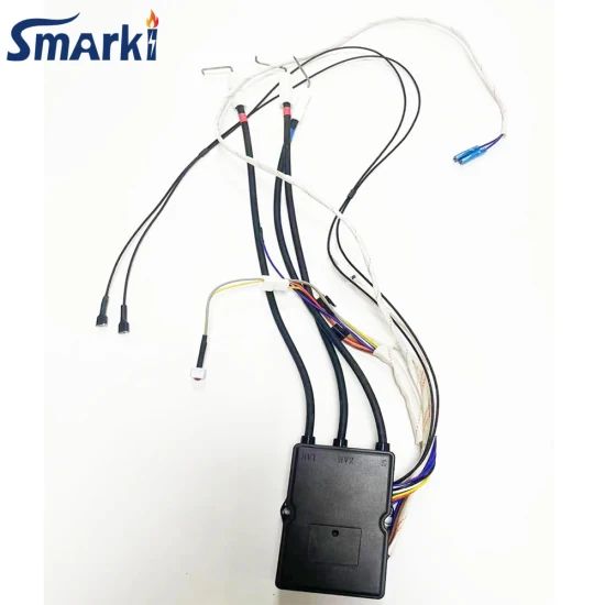 Gas Water Heater Parts Pulse Igniter Generator Spark - Image 1