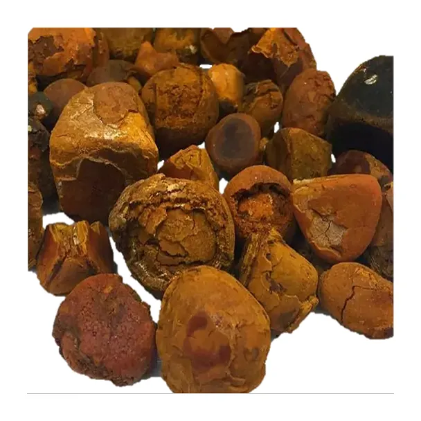 Natural Cow gallstone Ox Gallstone Outstanding Natural 100% Cow Gall Stones / Ox Gallstones - Image 3