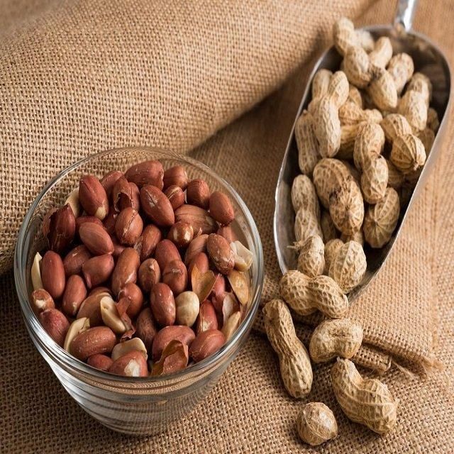 Wholesale Dried Peanuts AD Process 12 Months Shelf Life Bold Java Varieties High Quality Bulk Export Supply - Image 3