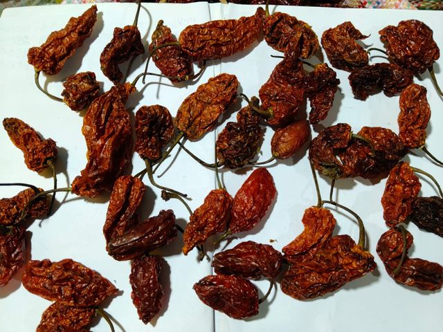 Naga Chilli – product photo 1, product detail gallery