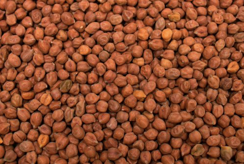 Chickpeas Brown – product photo 3, product detail gallery