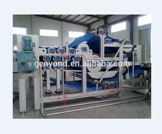 Commercial Orange Juicer Auto Press Juice Extractor Machine - Image 5