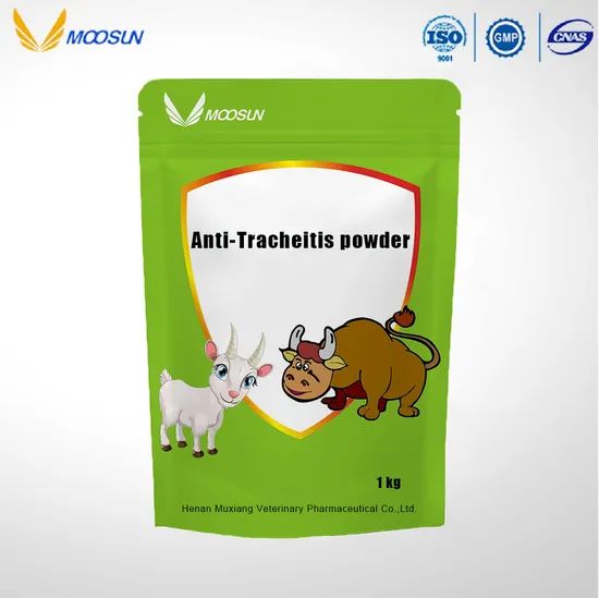 Anti-Tracheitis Powder Veterinary Medicines for Cattle and Sheep - Image 1