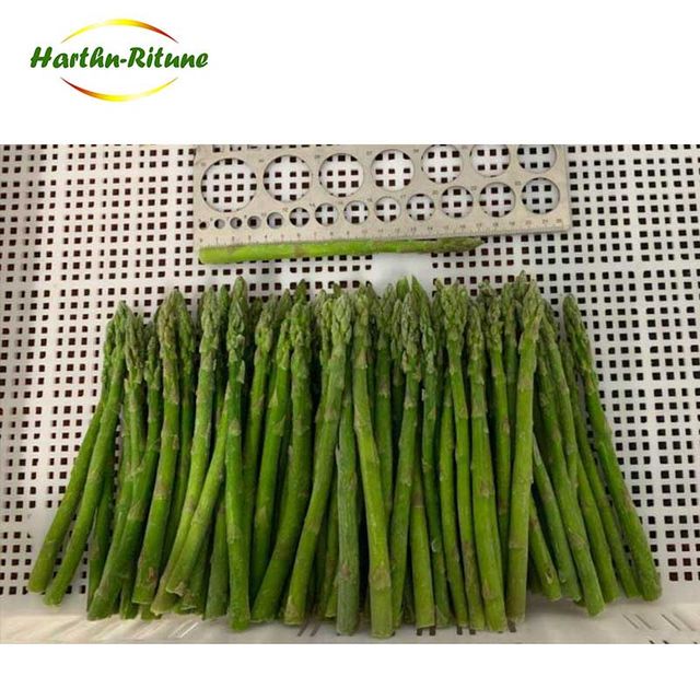High Quality Fresh Green Asparagus Content no Address no Color Green Style FROZEN Shape Sliced Ingredients no Weight (kg) - Image 5