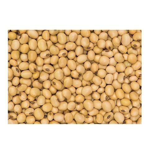 SOYBEAN NON GMO # 1( HUMAN CONSUMPTION) - Image 3