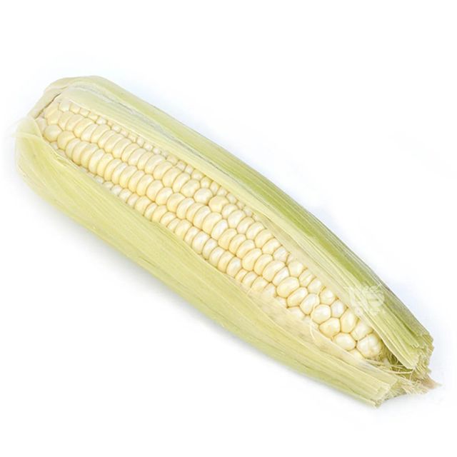 Fresh White Corn Packed For Processing White Corn With Moisture 100% Optimized For Milling And Food Manufacturing - Image 4