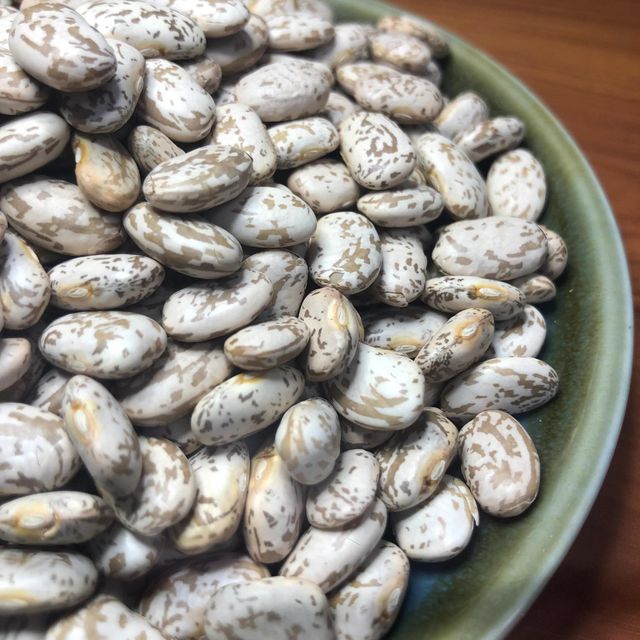 High Purity Pinto Beans For Bulk Supply Programs Delivering Reliable Grain Selection For International Buyers – product photo 4, product detail gallery
