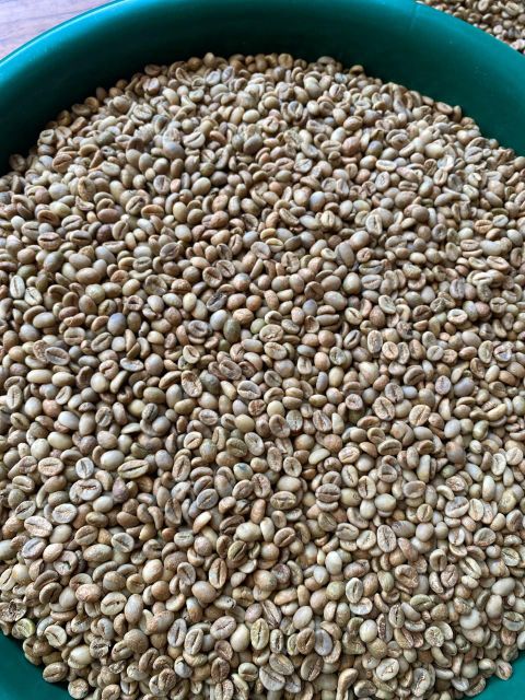 SUMATRA GREEN COFFEE BEAN ROBUSTA FINE AND ARABICA – product photo 5, product detail gallery
