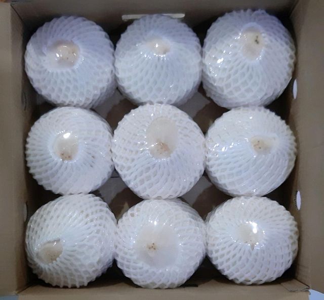 Diamond shape, young coconut Grade Class A Port Ho Chi Minh Type Xiem Variety Grown In Mekong Delta Packaging 9 pcs/carton - Image 2
