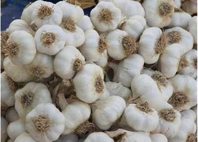 Fresh Egyptian White Garlic – product photo 1, product detail gallery