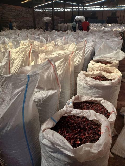 Dried Hibiscus Flowers (Hibiscus sabdariffa) Whole dried calyces (flower petals) Max Moisture: 5% Purity: 99% Max With Full Shape Petals Flowers $2,200 - Image 4