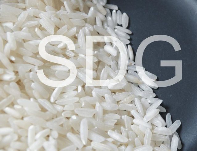 Parmal Pr-11 Sella Non-Basmati Rice Best Quality High Selling Non Basmati Rice Wholesale Offer Price - Image 2