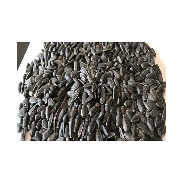 New Crop Organic Dried Black Sunflower Seeds High Quality Raw Wholesale Bird Feed - Image 1