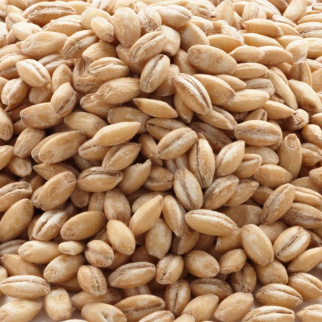 Premium Organic Barley For Animal Feed Blended With Barley For Healthy Growth And Strong Animal Development - Image 4
