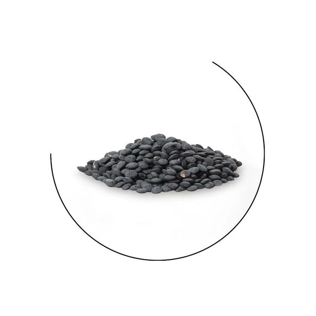Bulk supply Black lentils Premium Black lentils full of protein iron and natural taste for healthy meals - Image 4