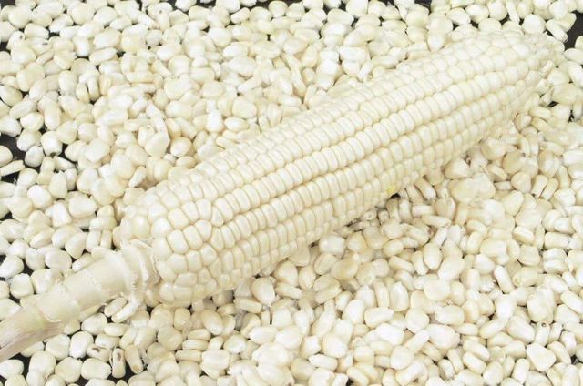 Wholesale White Corn Maize Glutinous Non-GMO for Human Consumption From USA with 2 Year Shelf Life Custom Brand - Image 4