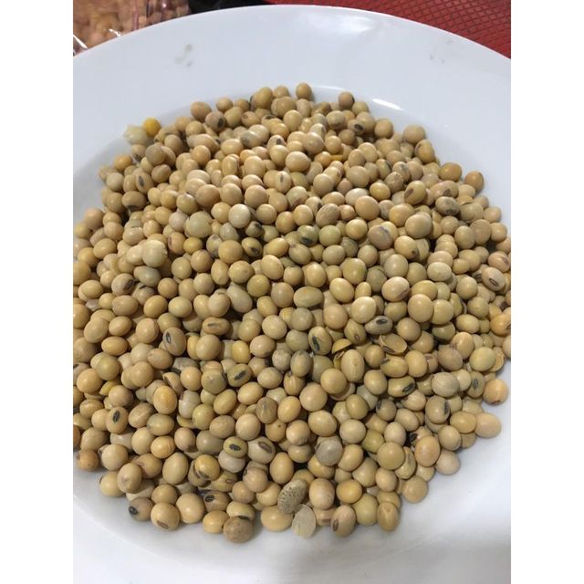 New 100% fresh high quality organic soybeans grow from Vietnam Organic Dried Yellow Soybeans For Sale - Image 5