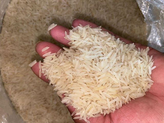 Rice - Image 1
