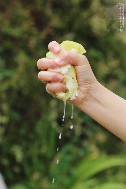 Chinese pears high moisture Grade A Taste sweet Shape round Weight (kg) 3kg/box Max. Moisture (%) 81% Storage Type Keep - Image 1