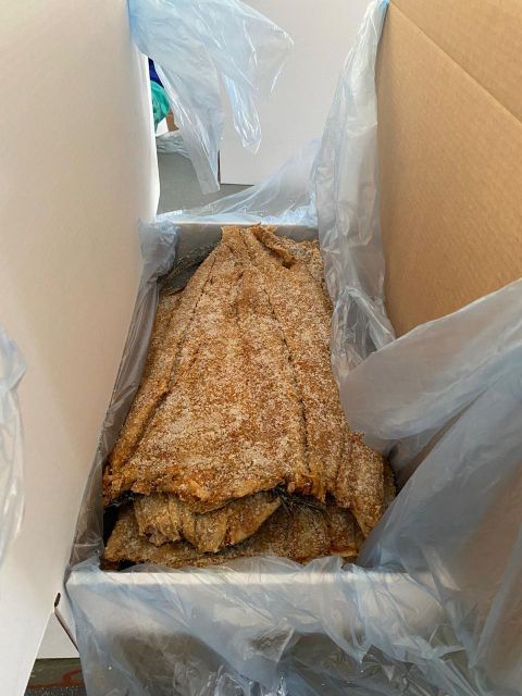 Fish - Image 2