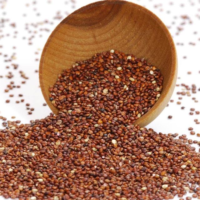 Tri Color Quinoa Grains Featuring 100% Natural Composition For Diverse Food Preparation And Ingredient Selection - Image 3