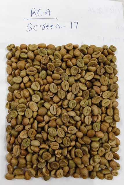 Coffee green bean Indian origin Arabica plantation AA and Robusa Cherry AA - Image 4