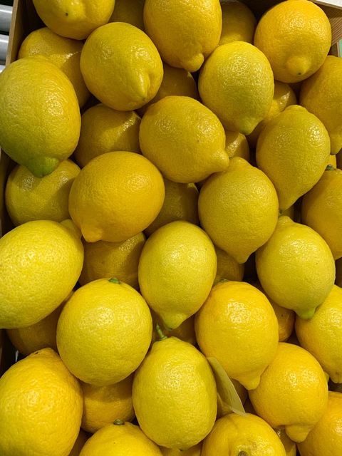 Fresh Eureka Lemon for sale class 1 export quality - Image 1