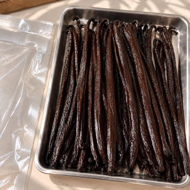 Vanilla Beans Tahitian Grade A - Image 5