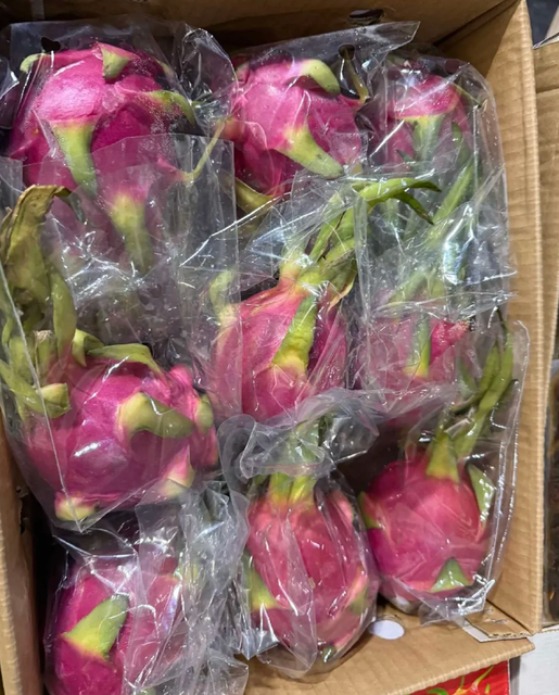 Vibrant Freshness Dragon Fruit Exotic Flavor Premium Quality Dragon Fruit 10kg Box Sale - Image 2