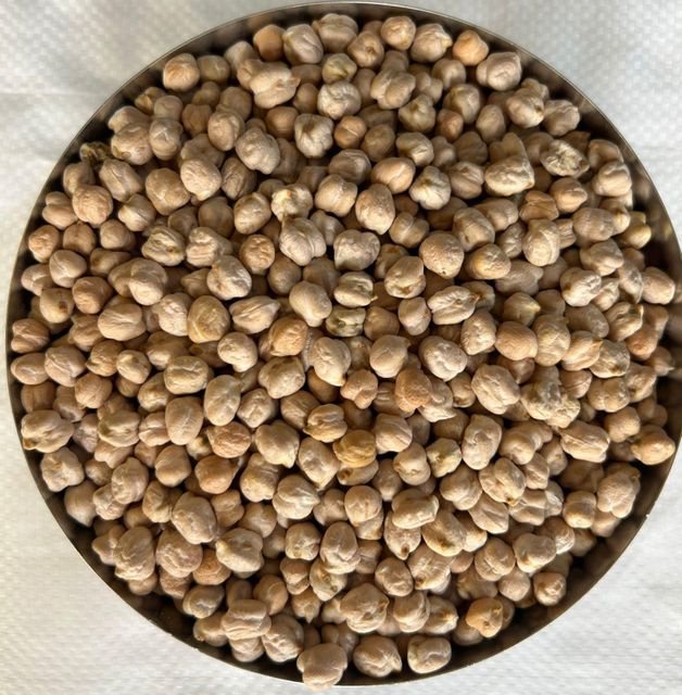 pulses - Image 1