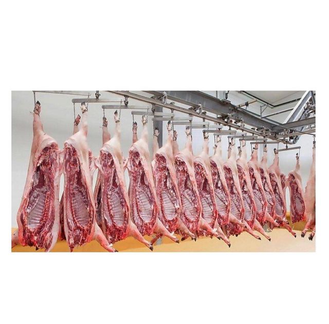 Frozen Buffalo Boneless Meat Beef Frozen Beef Carcass/Frozen Beef Cuts - Image 4
