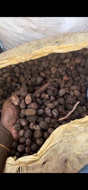 Shea nut Packaging Carton Weight (kg) 20kg Texture Moisturizing Vitamin Content High Source Shea Tree Seeds Fatty Acid Content High - Image 1