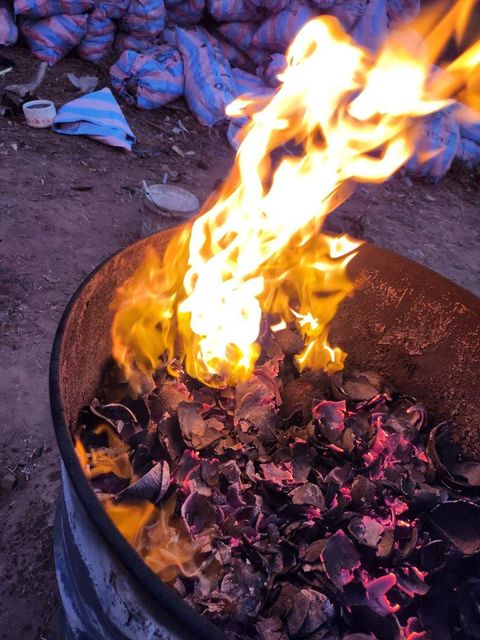 Coconut shell charcoal - Image 3