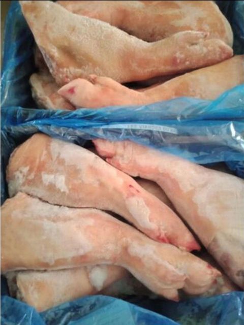 Frozen Pork Feet - Image 3
