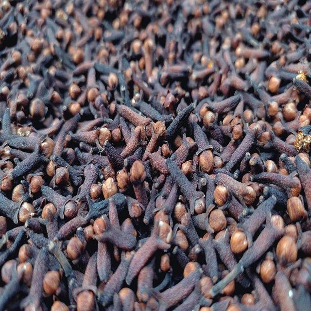 Premium Dried Clove Whole Spice Natural Raw Elongated Shape Single Herb and Spice Ingredient for Baking - Image 1