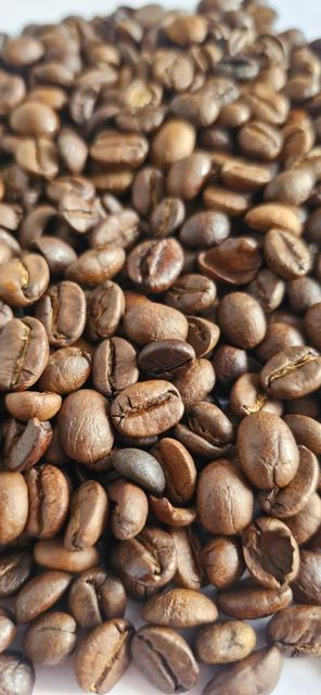 Coffee & Coffee Bean – product photo 4, product detail gallery