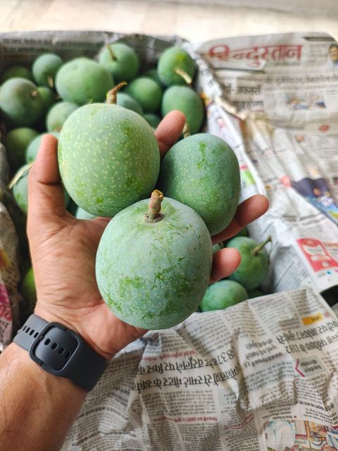 G4 Green Chilli, Mangoes, Indan Blackberries (Seasonal), Onions, Rice, Foxnuts, etc. - Image 5