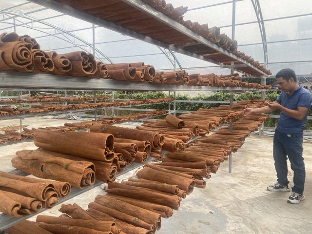 WHOLE CASSIA CINNAMON Color Natural Brown Max. Moisture (%) 13,5 Quality No moldy, not worm - eaten, not rotten and not black - Image 4