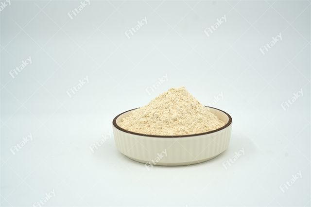 Garlic Powder Seasoning Garlic Powder 1kg Ginger Garlic Flavor Powder - Image 2