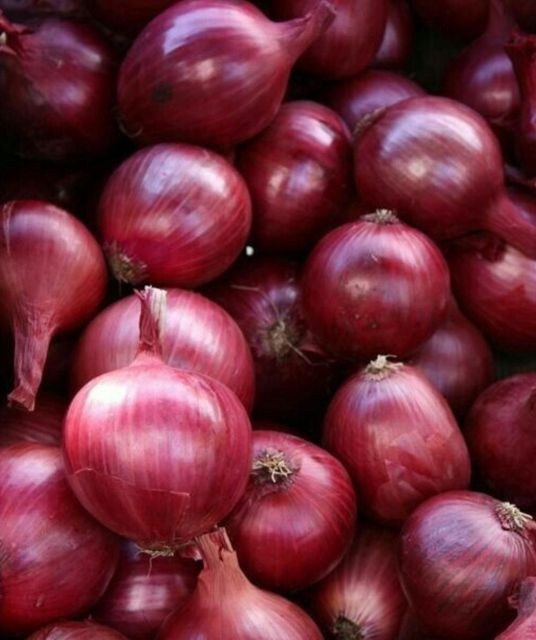 Premium Kenyan red onions, freshly harvested and carefully selected, sorted and graded for vibrant colour, crisp texture - Image 3