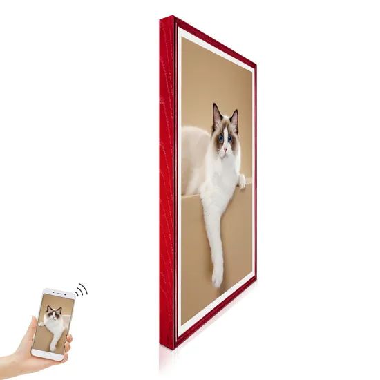 Widescreen Wall Mount Digital Photo Frames with Remote Control - Image 6