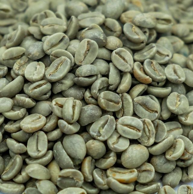 Robusta Coffee Beans 60kg Jute Bag G1 Raw Coffee S16 Wet Polished Green Coffee Bean - Image 4