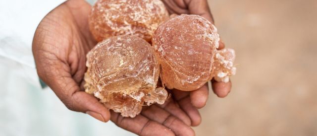 Gum Arabic Natural Acacia Gum for Food Beverage Cosmetic Pharmaceutical and Industrial Applications - Image 4