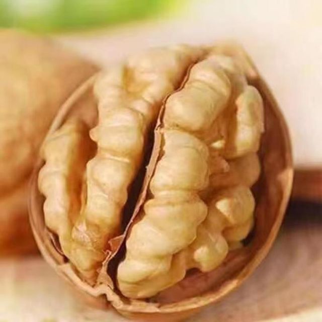 Walnut Kernel - Image 4