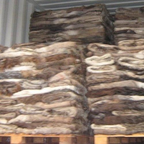 Donkey Hides, High Quality Bulk, Cheap Wholesale Pricing - Image 3