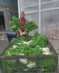 Vegetables - Image 3