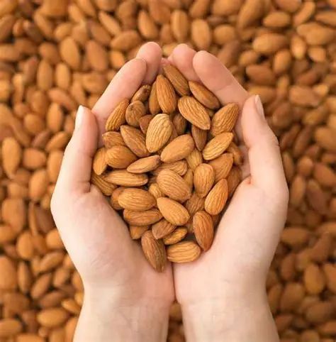 Premium Almond Kernels (Nonpareil & California Type) | EU Aflatoxin Compliant | Direct Farm - Image 3