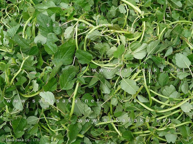 Frozen Amaranth Leaves (Biteku) - Image 6